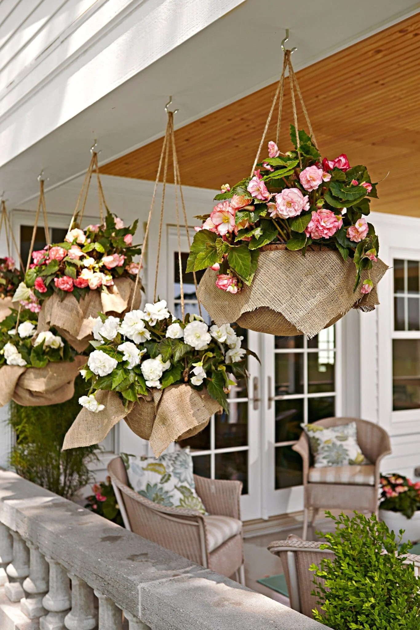 Single, Eye-Catching Hanging Basket