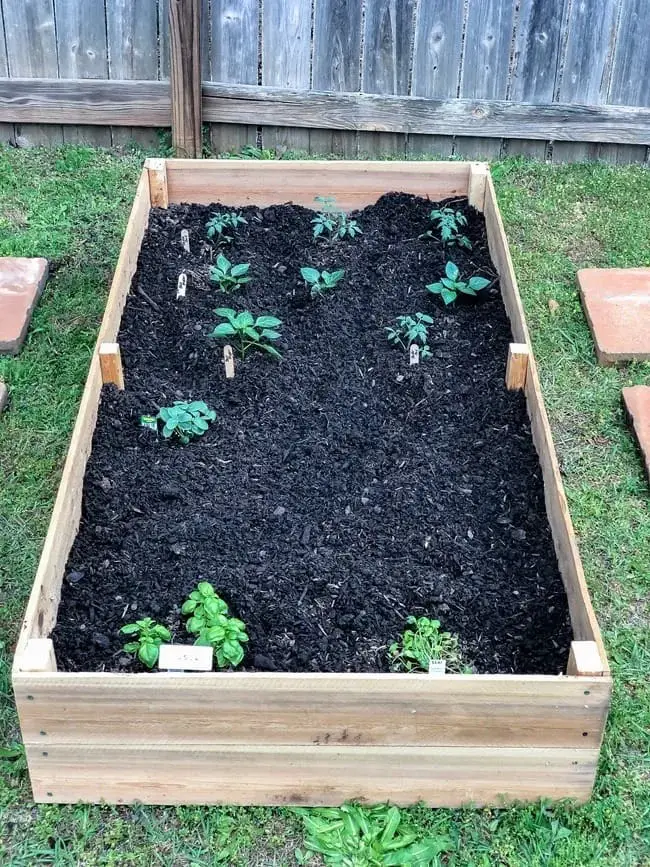 Custom-Designed DIY Raised Garden Beds