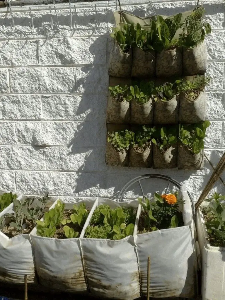 Hang a shoe organizer on the wall and fill each pocket with soil and small plants like herbs or succulents.