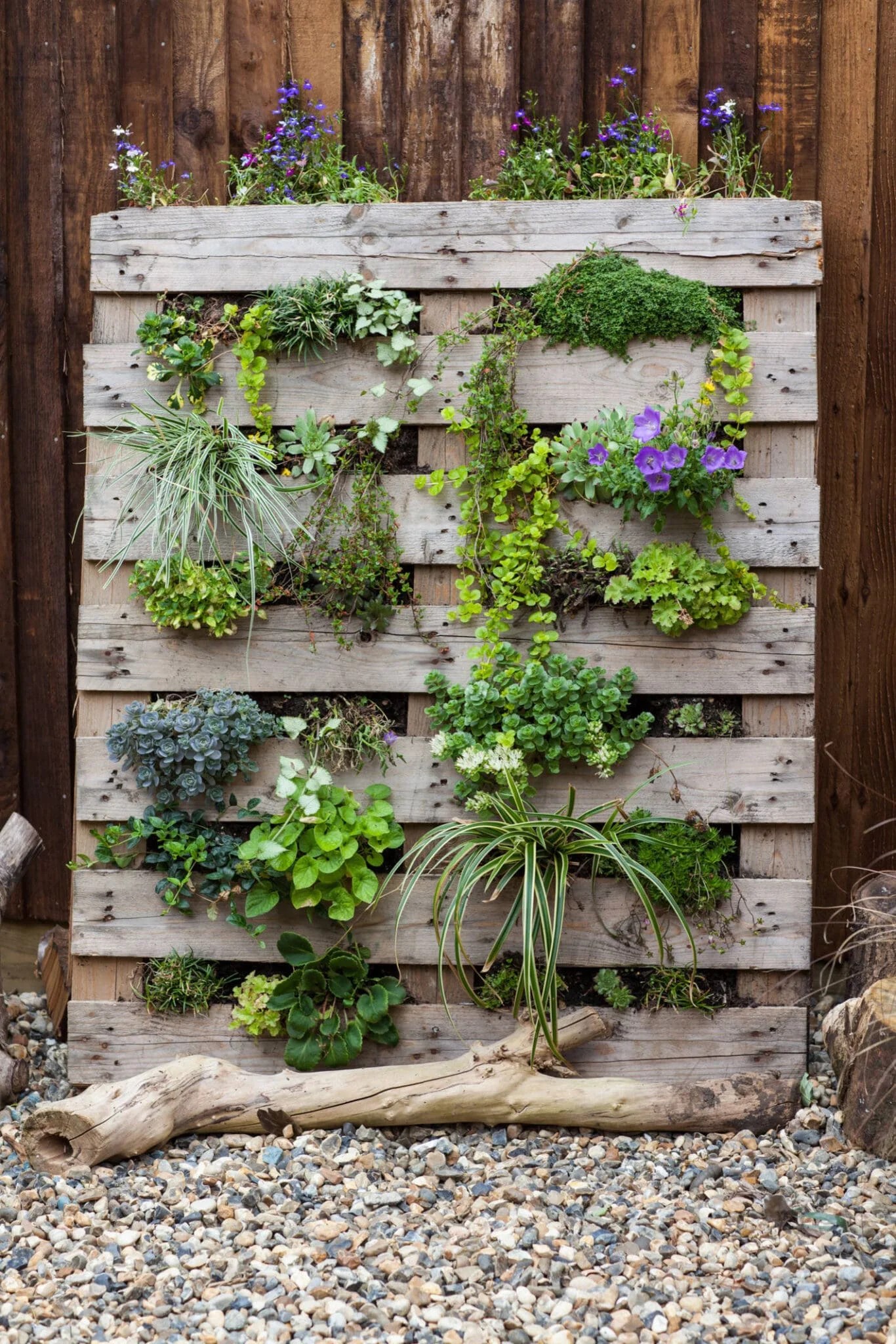 Pallet Wall Garden