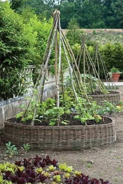 Raised Bed Arbor