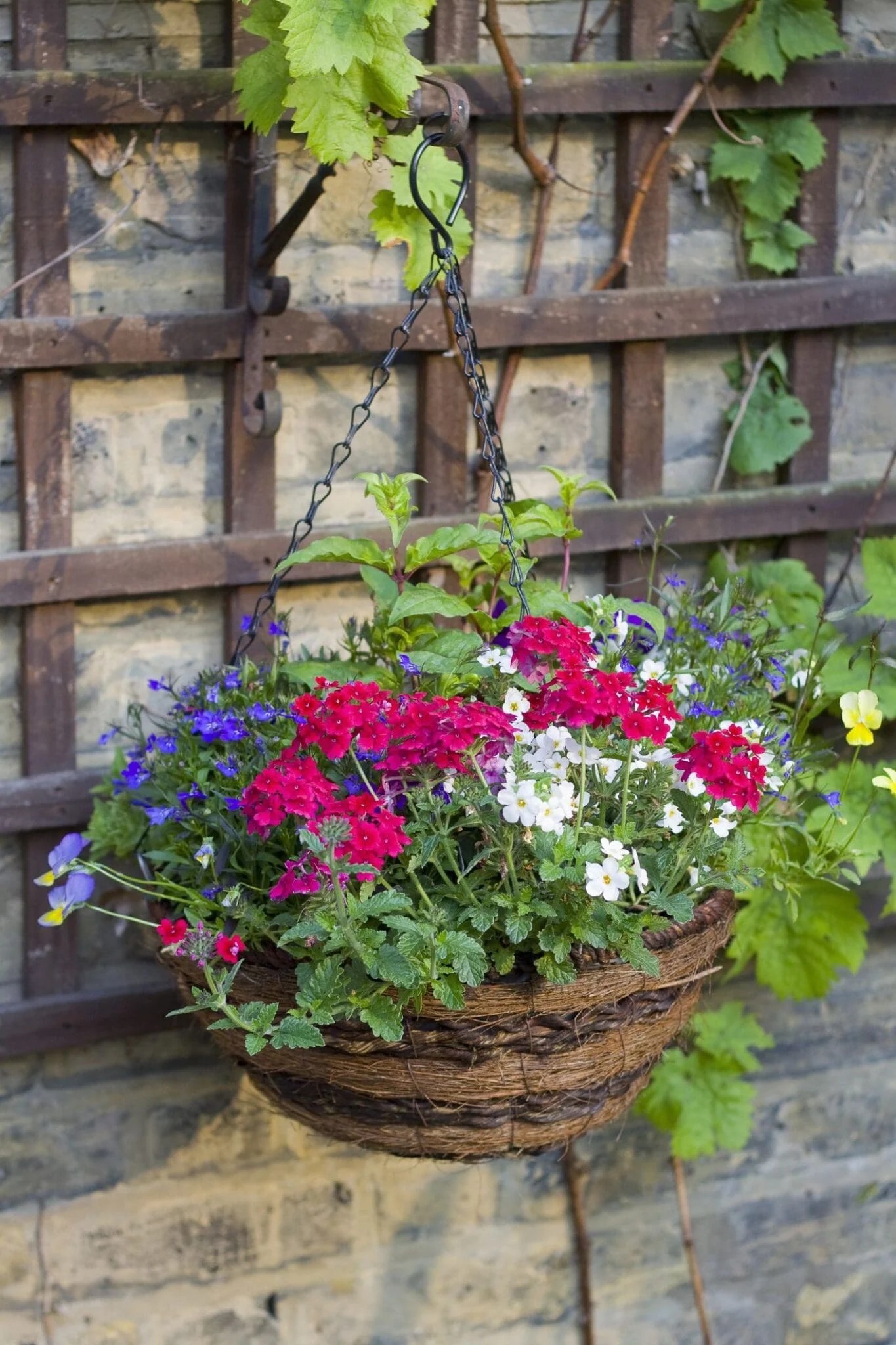 Hanging Baskets