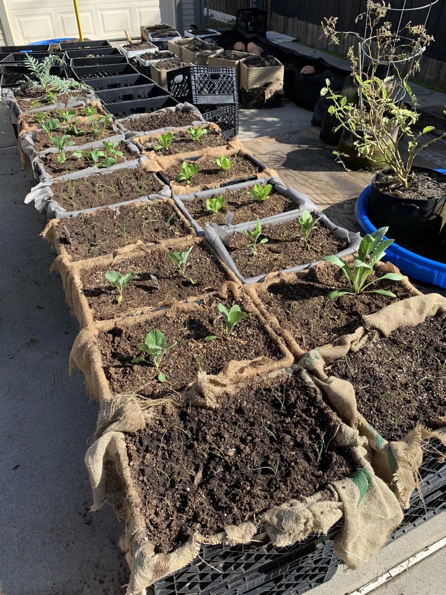 Milk Crate Raised Garden Bed