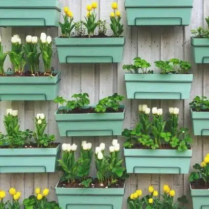 Fence Garden