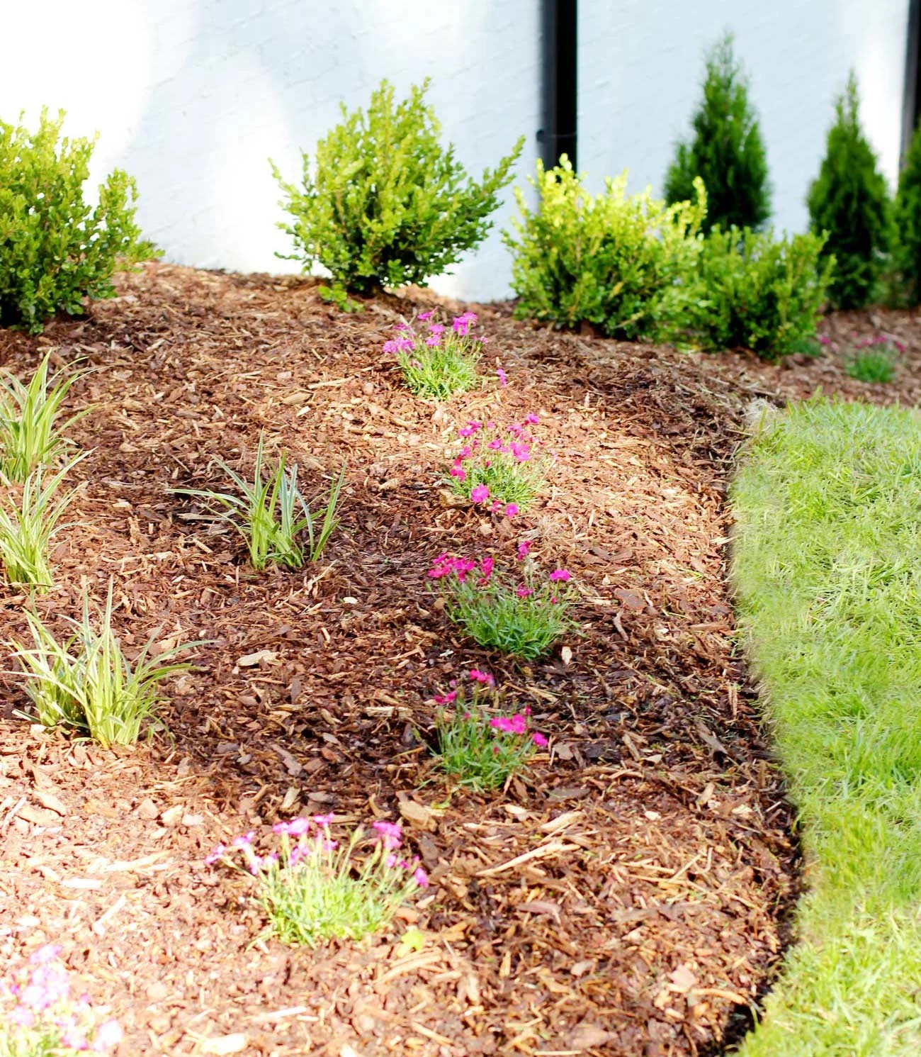 Mulch Garden Edging