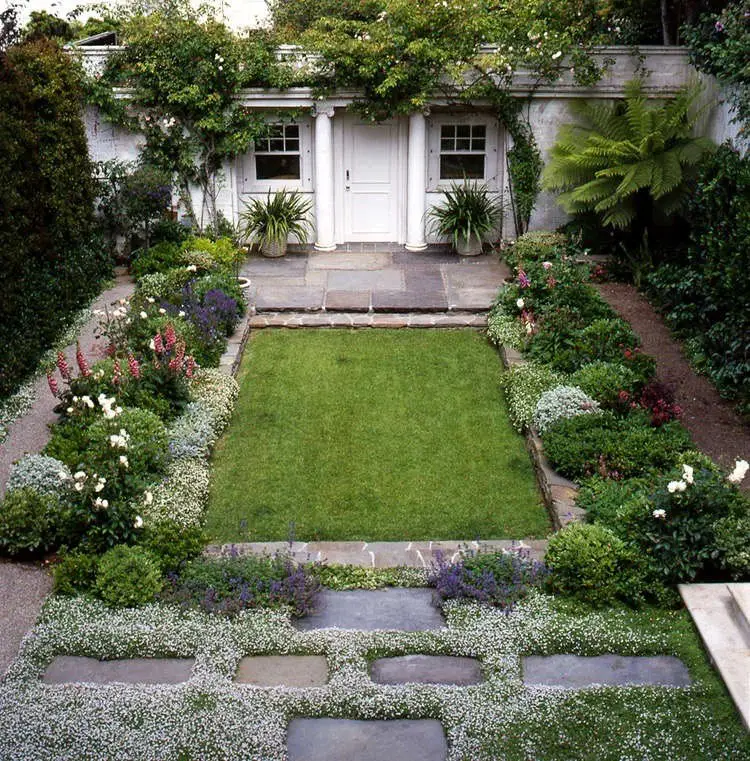 Patch of Low-Maintenance Groundcover