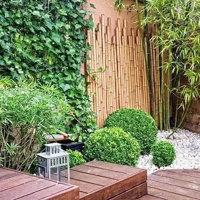 Bamboo Fence