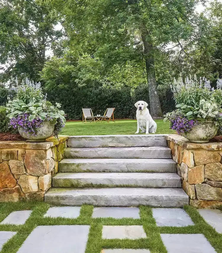 Frame the Stone Steps