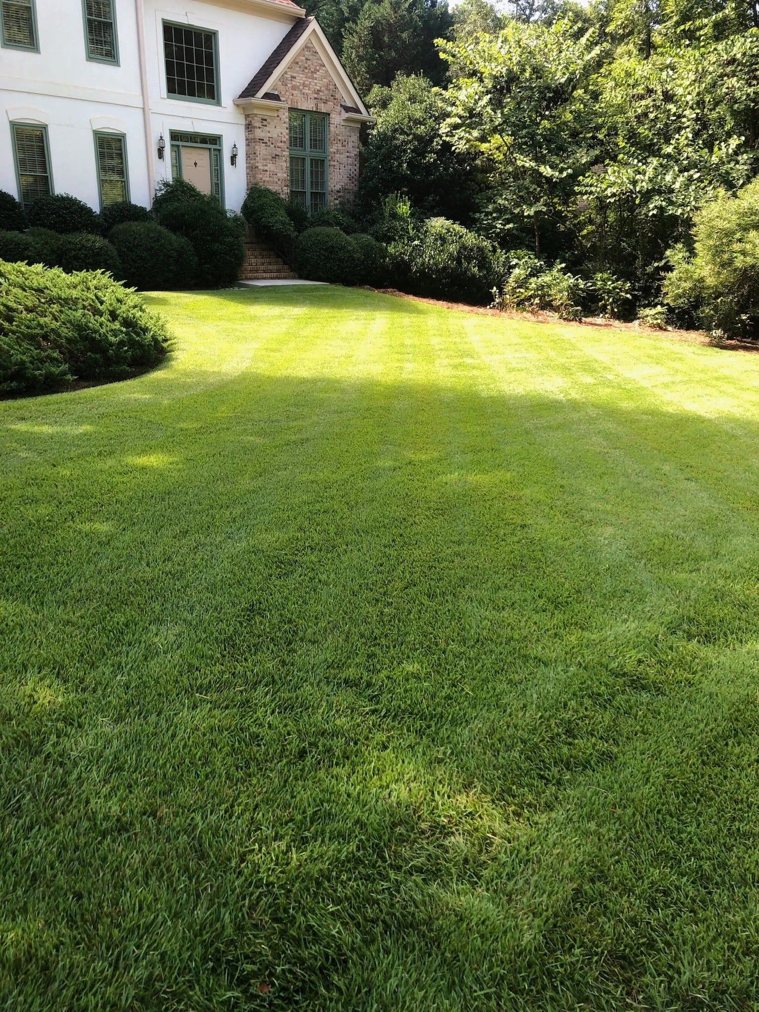 Freshly Mowed Lawn