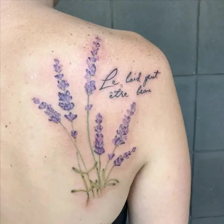 Lavender with a Quote or Personal Inscription