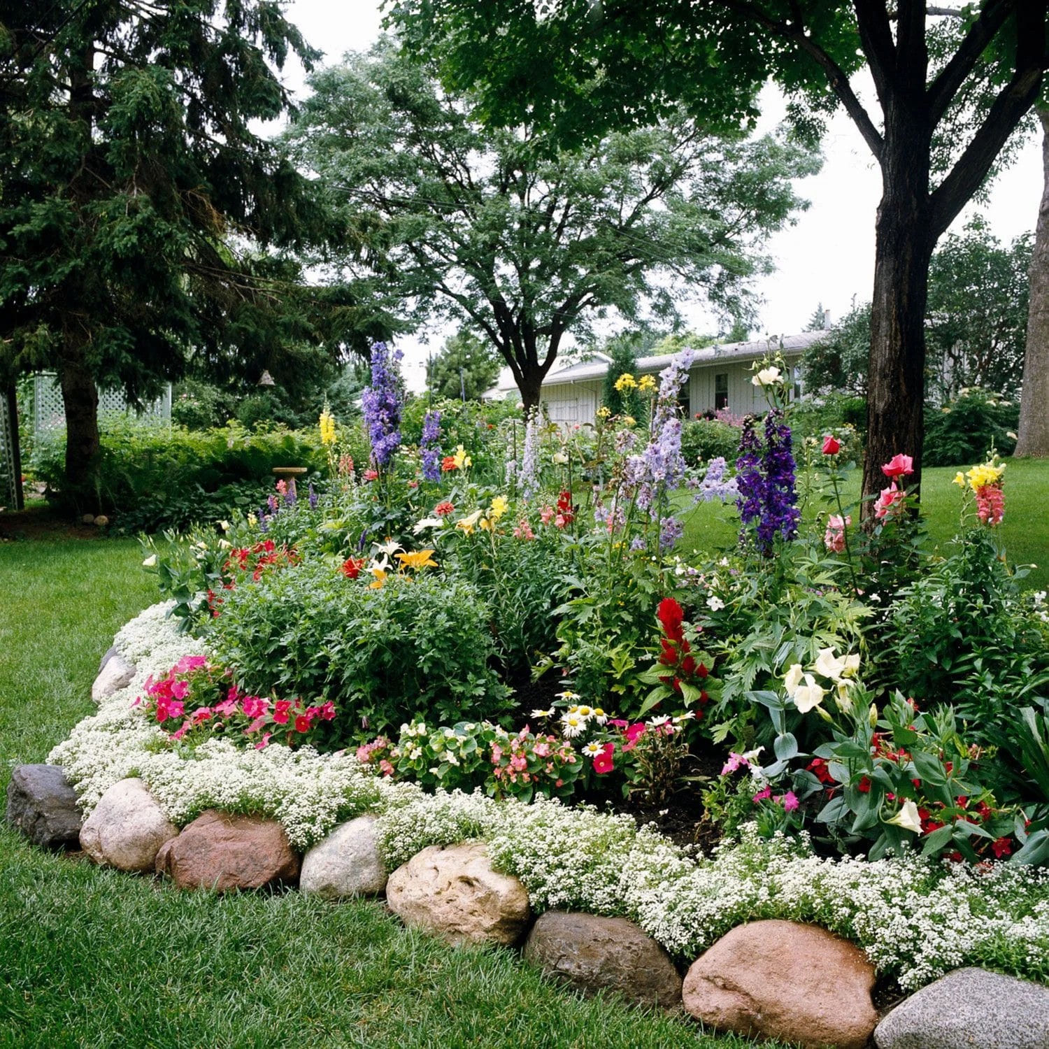 Natural Plant Edging