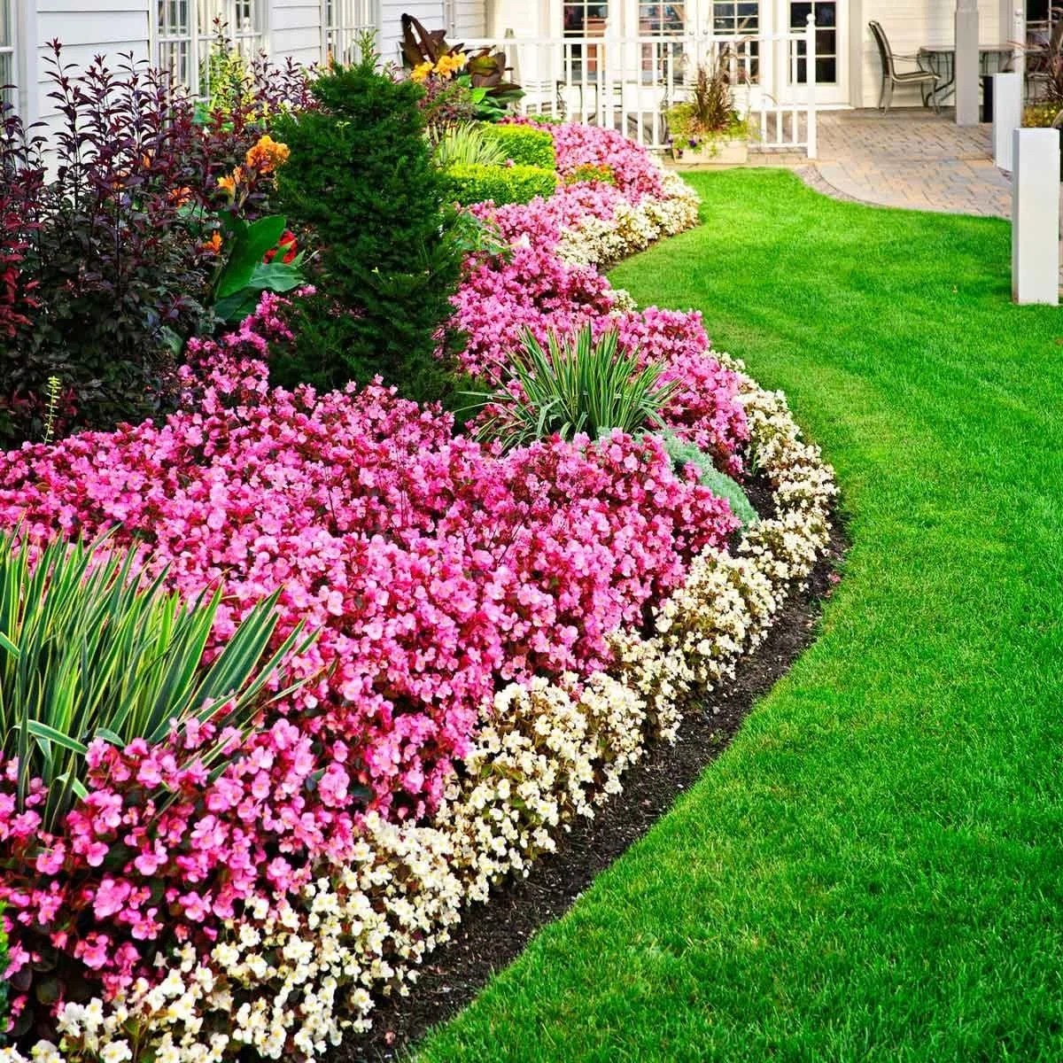 Border of Colorful Flowers