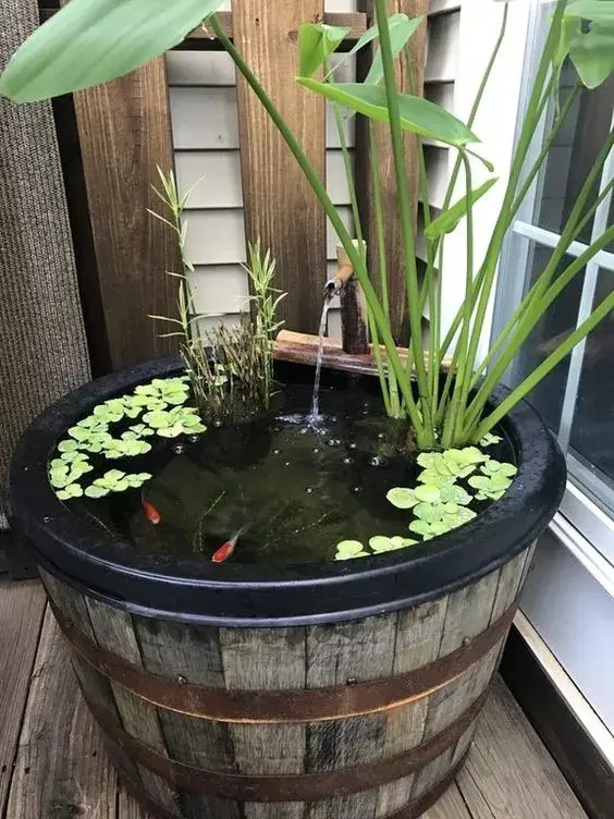 Whisky Barrel Pond