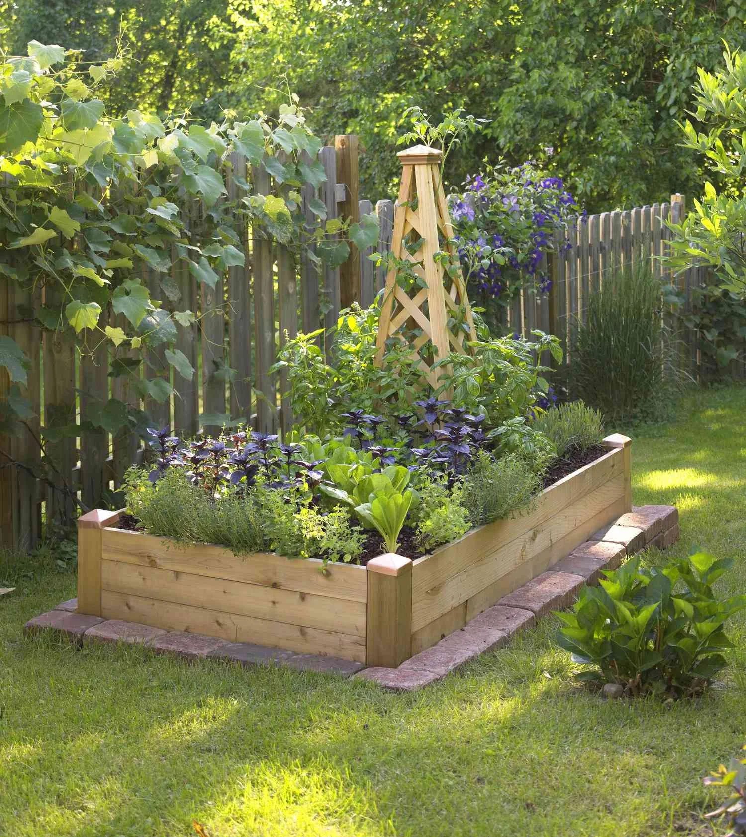 Raised Garden Beds