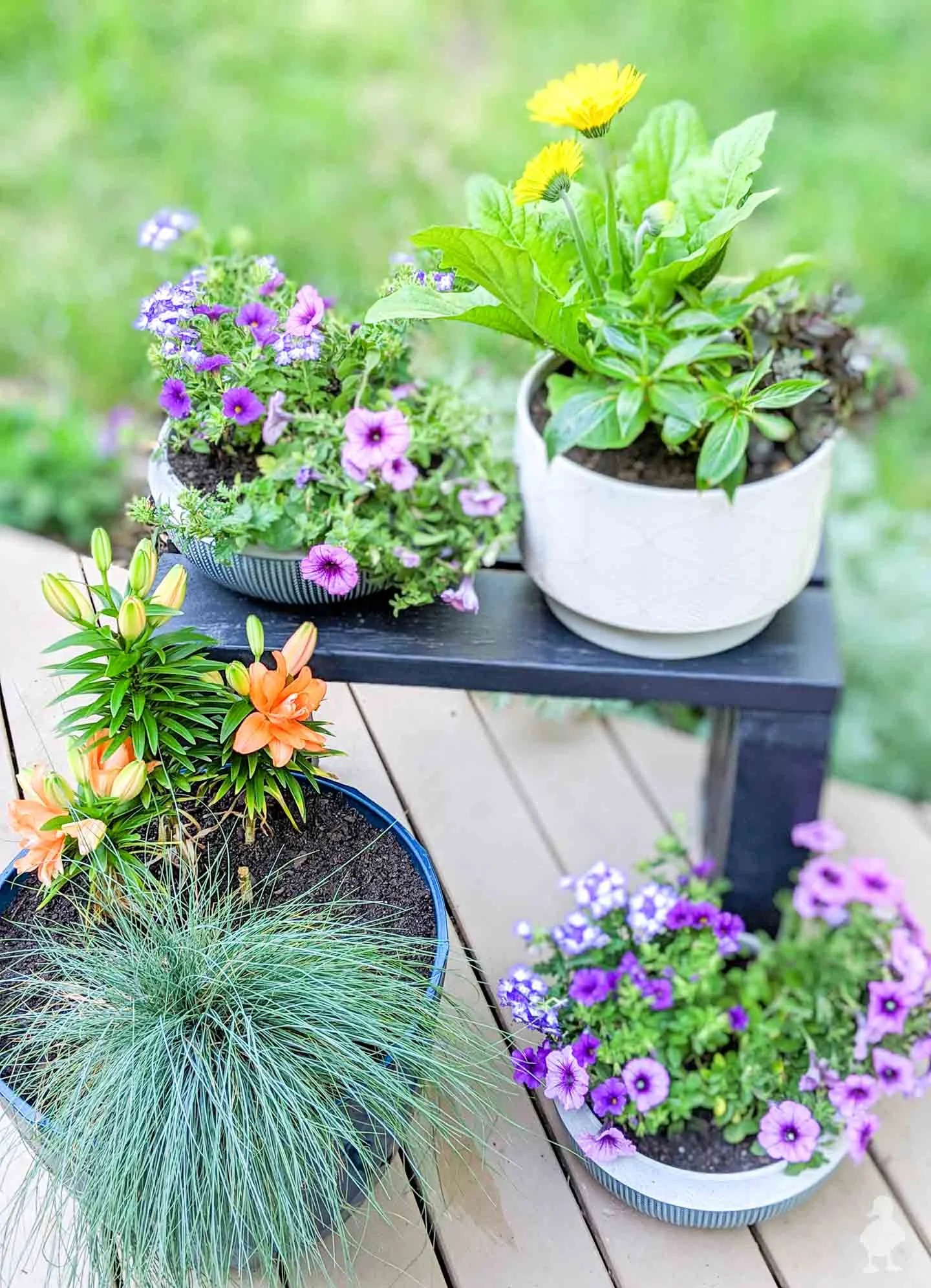 Colorful Pots and Birdhouses