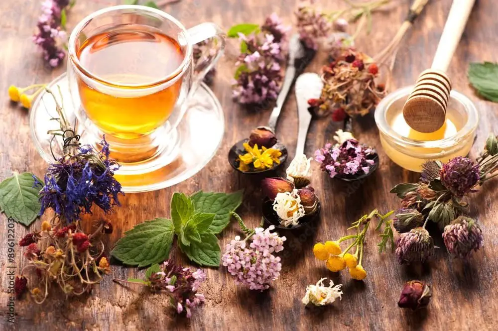 Enjoy a Cup of Herbal Tea