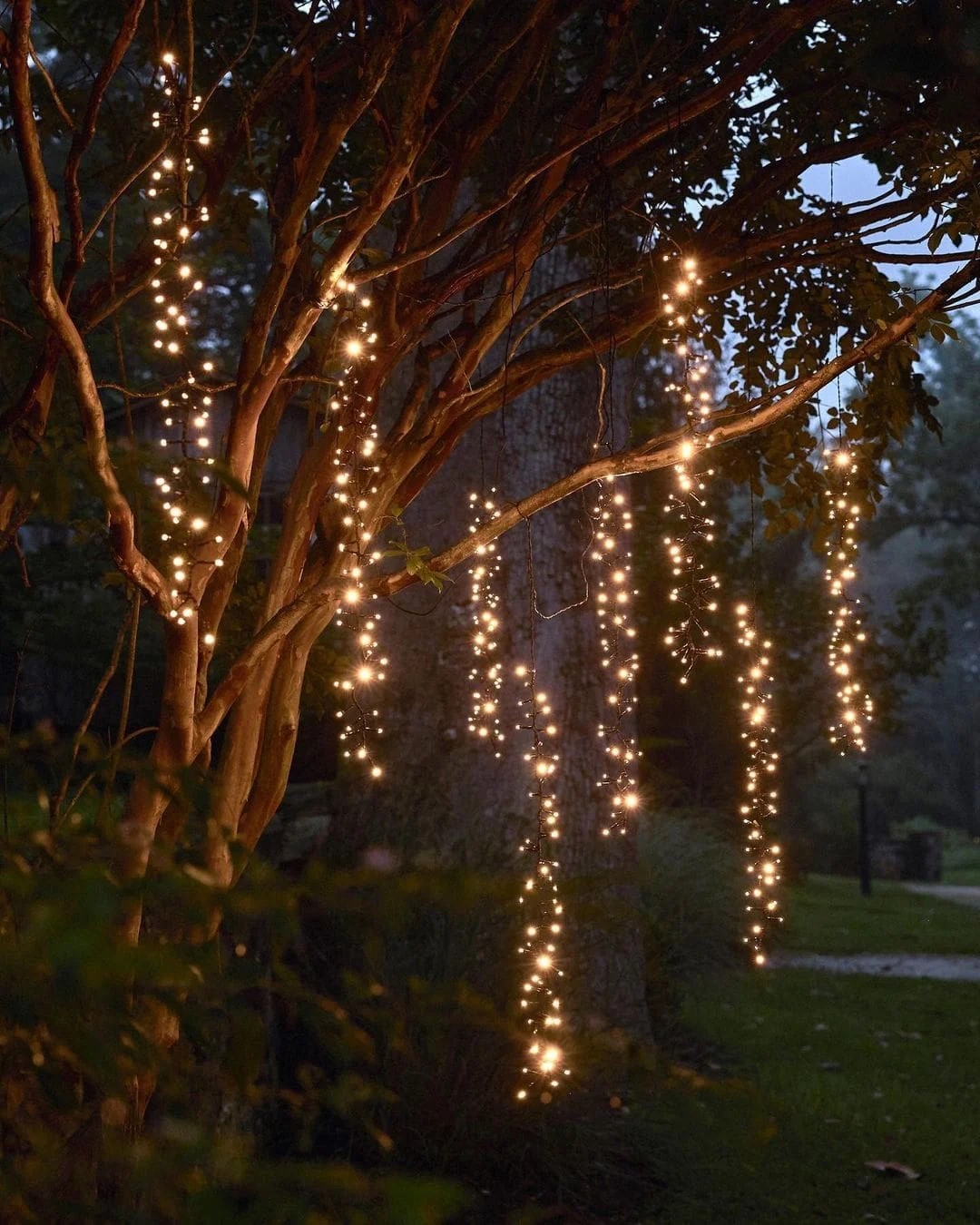 Patio Lighting