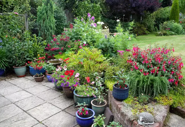 Raised Bed and Container Design