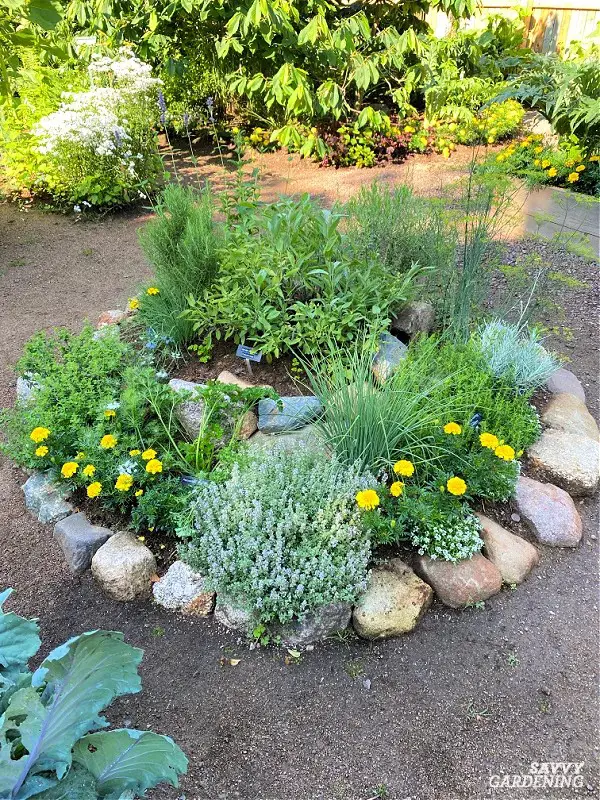 Herb Spiral Garden