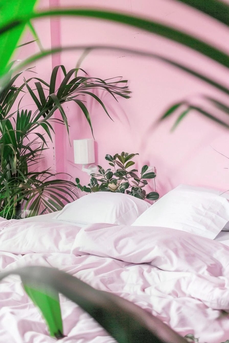 Pink Walls with Leafy Green Plants