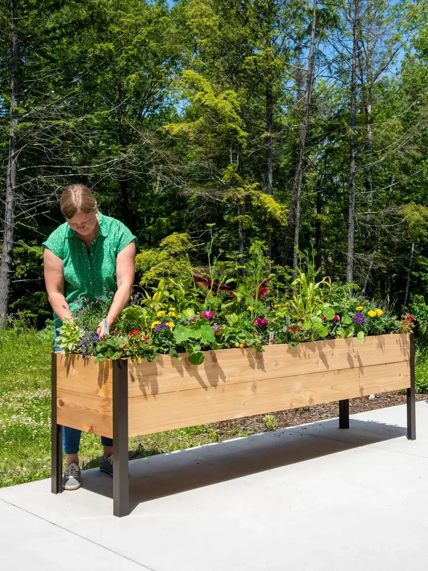 Flower Boxes as Raised Beds